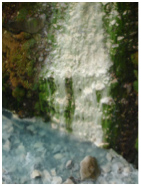 美瑛川に流れこむ白い滝の写真